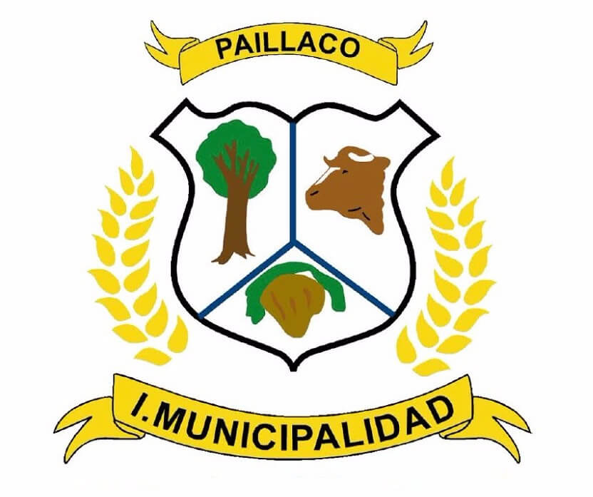 Atención mujeres! Paillaco tendrá taller gratuito de defensa personal -  Ilustre Municipalidad de Paillaco